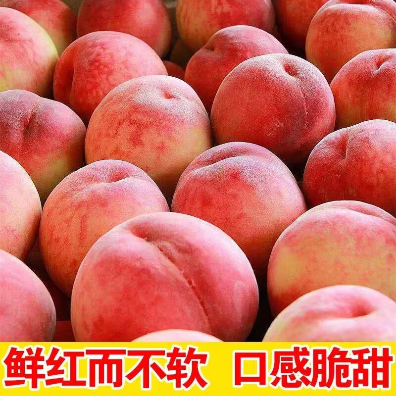 京东超市 2023-06-26 - 第28张 | 最新购物优惠券 京东超市 2023-06-26 - 第28张 | 最新购物优惠券