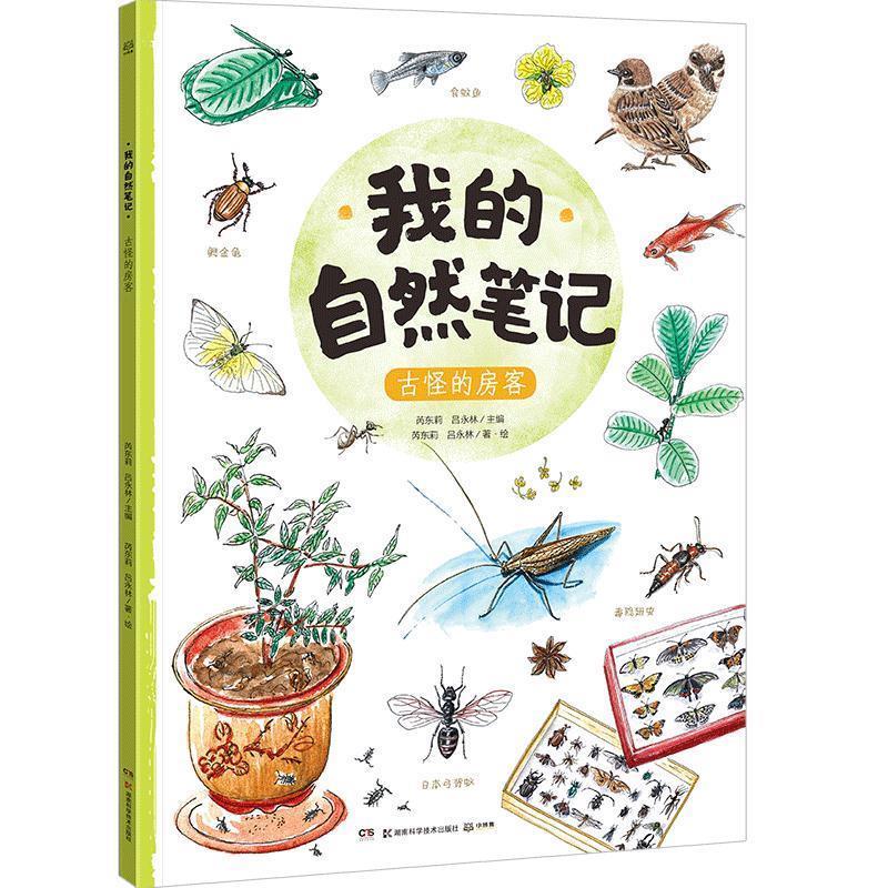 我知道你在说谎