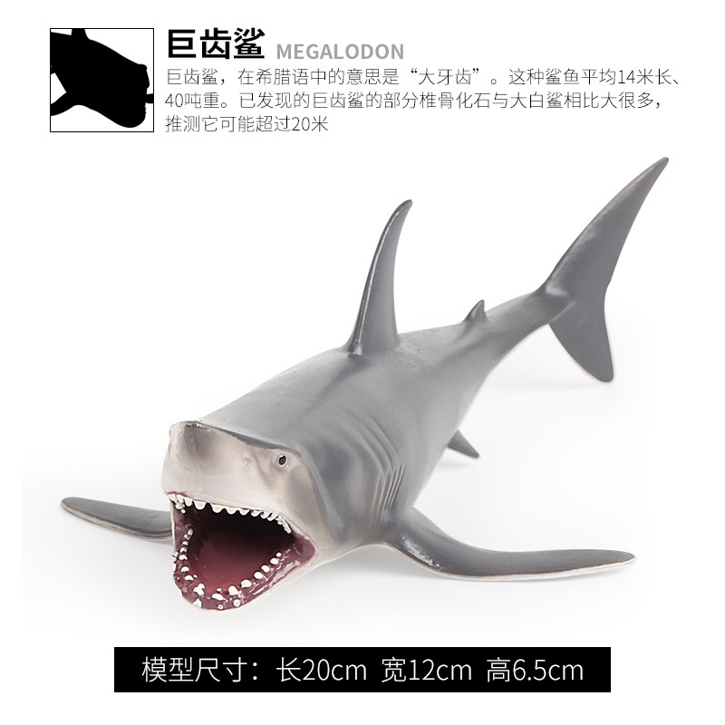 仿真海洋动物模型鱼类玩具企鹅鲨鱼鲸鱼龙虾螃蟹海马鱿鱼蜗牛儿童教具