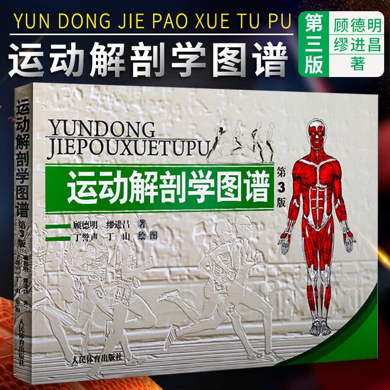 运动医学书籍运动训练绘画人体健身人体全面解剖图谱体育医学书籍理论