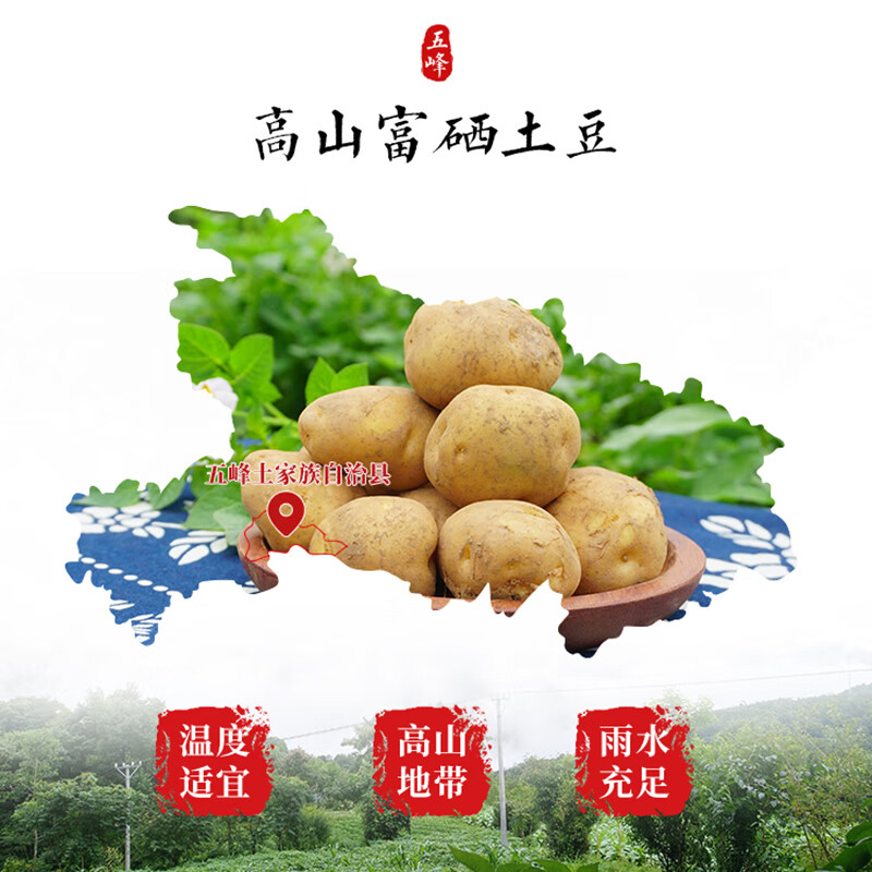 鑫勇泰农家高山土豆 湖北五峰特产马尔科老品种马铃薯新鲜根茎蔬菜