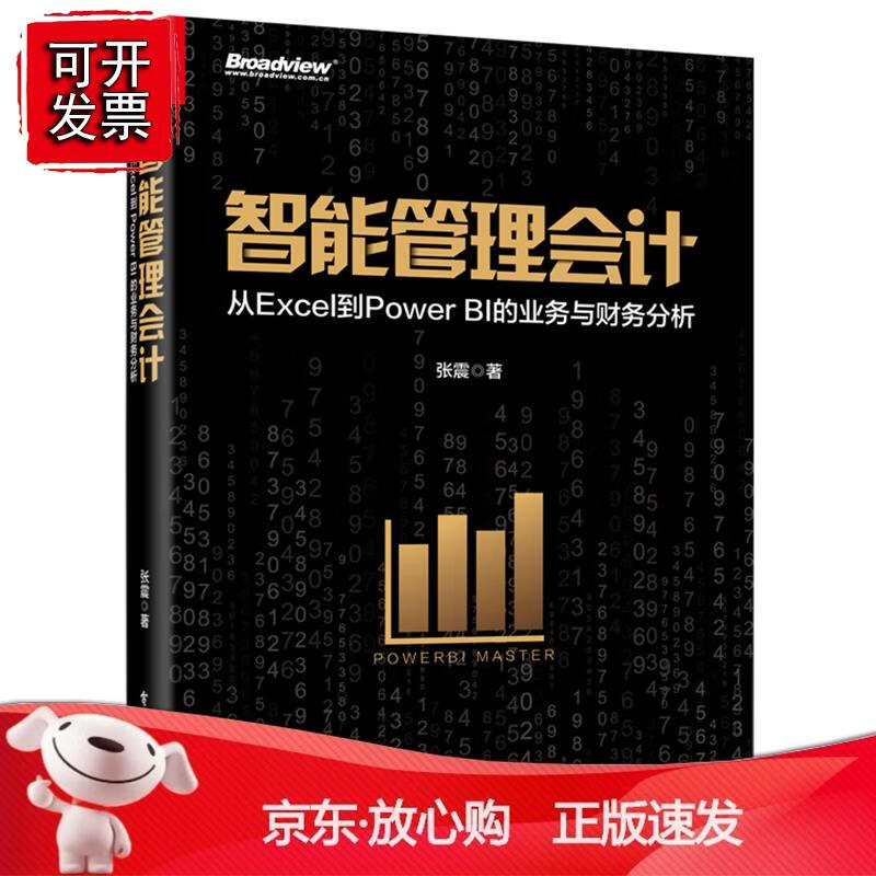智能管理会计:从Excel到Power 