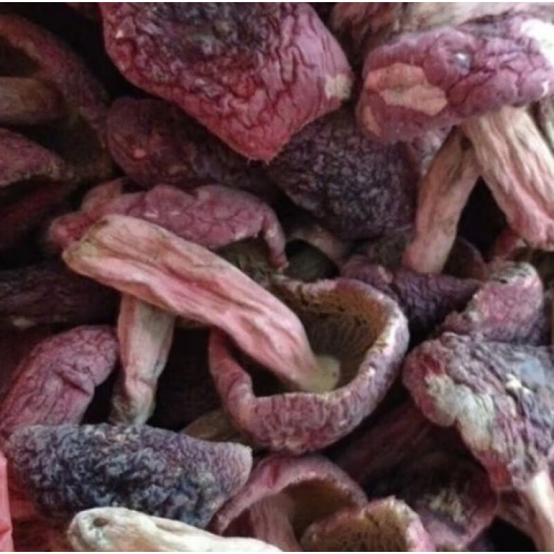 味巴哥(weibage)福建三明特产红菇天然野生武夷山特级红蘑菇正宗稀有