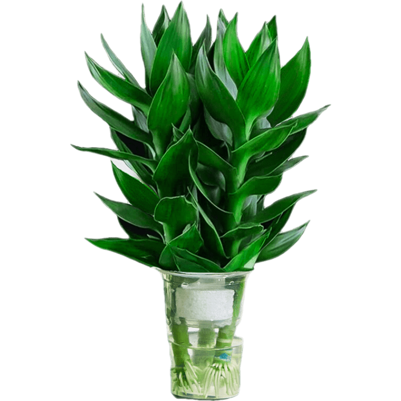 ͹񸻹ˮֲֲ칫תˮ 3(ױ)+ӪҺ Ժ