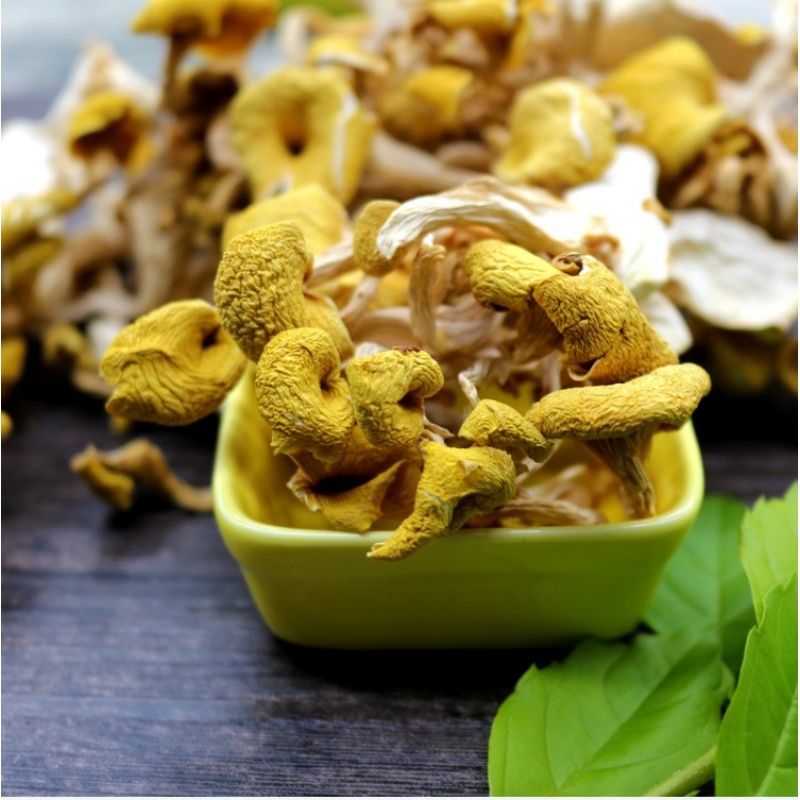 禾澹深山鸡油菌干货 榆黄菇香菇农家土特产500g