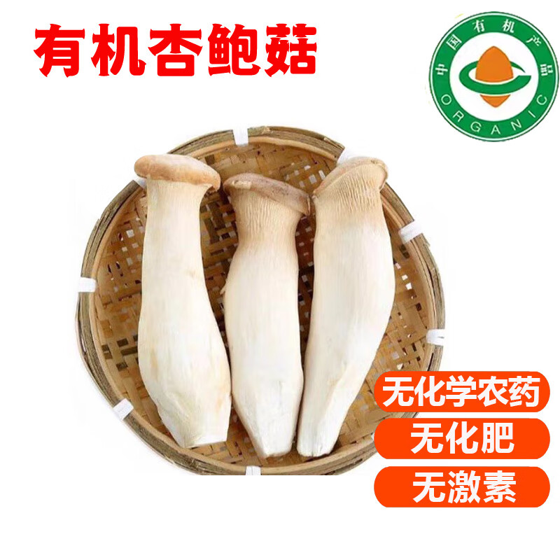 【順豐】有機(jī)菌菇 新鮮杏鮑菇香菇平菇健康無(wú)農(nóng)殘有機(jī)蔬菜 杏鮑菇200g