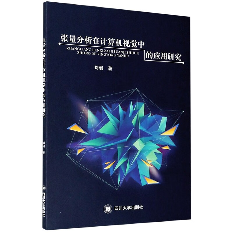 张量分析在计算机视觉中的应用研究