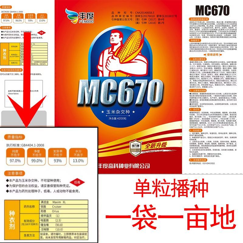新种mc670原装国审高产玉米种子矮杆抗倒伏大棒批发抗病抗旱涝苞 质量