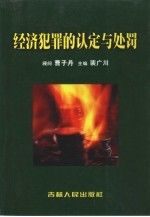 经济犯罪的认定与处罚上