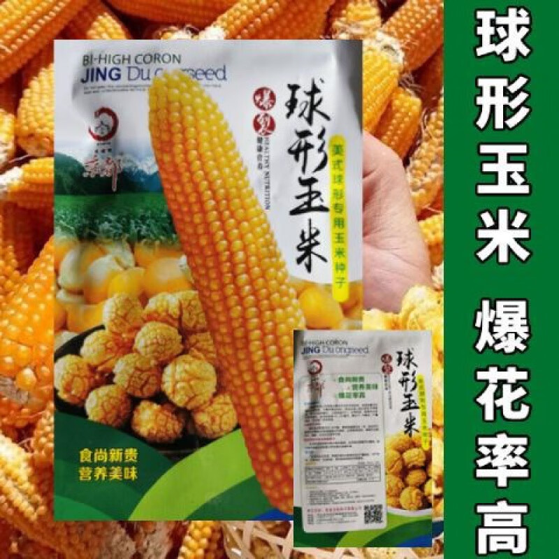 早熟碟型爆米花专用大田种植爆裂玉米种籽 球形玉米种子【50克】简装