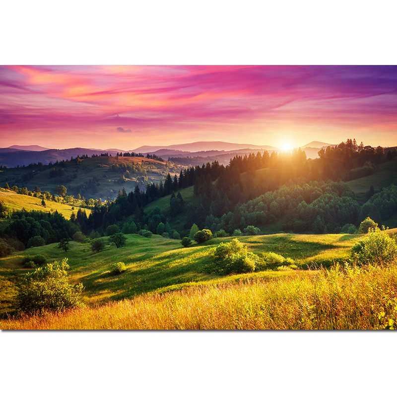 意境大草原风景画日出森林阳光田园风光旭日东升青山卧室墙贴壁画