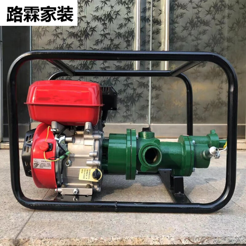 丹斯提尼高扬程水泵200米300高压抽水机螺杆泵农用高山污水1/2寸汽油