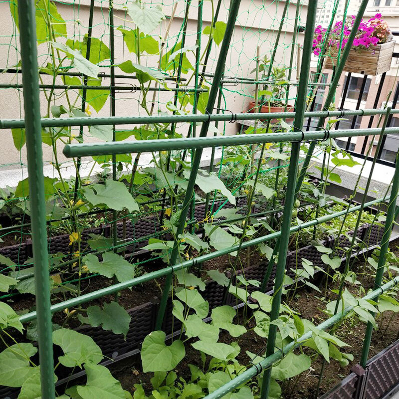 攀爬架花藤架种菜架子黄瓜豆角架杆阳台菜园爬藤支架蔬菜爬藤杆搭架子