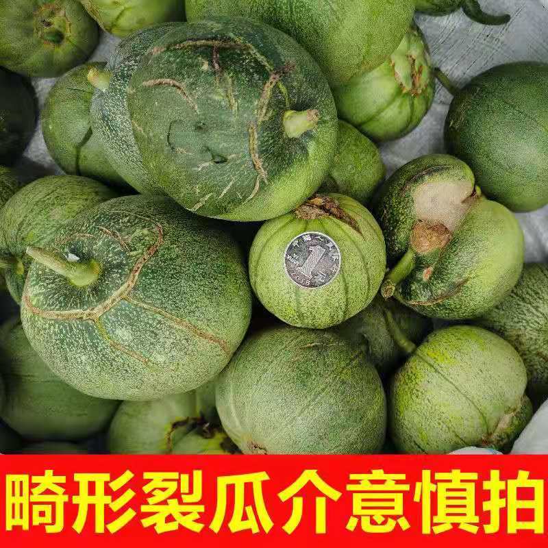 【现货现发】山东绿宝甜瓜新鲜甜瓜脆瓜绿宝石甜瓜脆甜多汁 5斤甜瓜