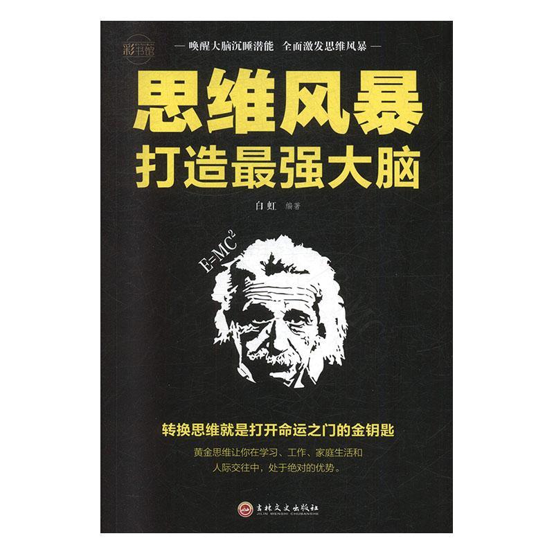 思维风暴:打造*脑哲学/*智力游戏 图书