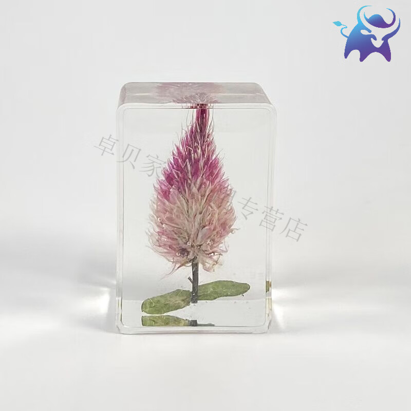 宜乐舒环氧树脂工艺品真植物标本树脂摆件满天星玫瑰干花书镇透明琥珀