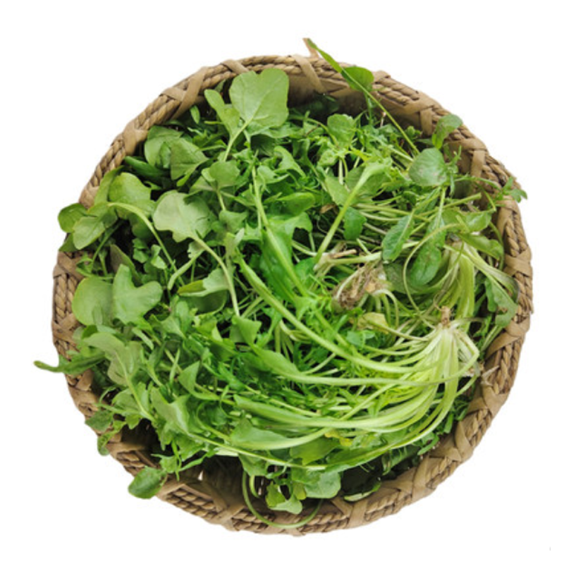 【顺丰】新鲜荠菜野菜农家蔬菜现挖香荠菜新鲜菜馄饨饺子馅食材 500g