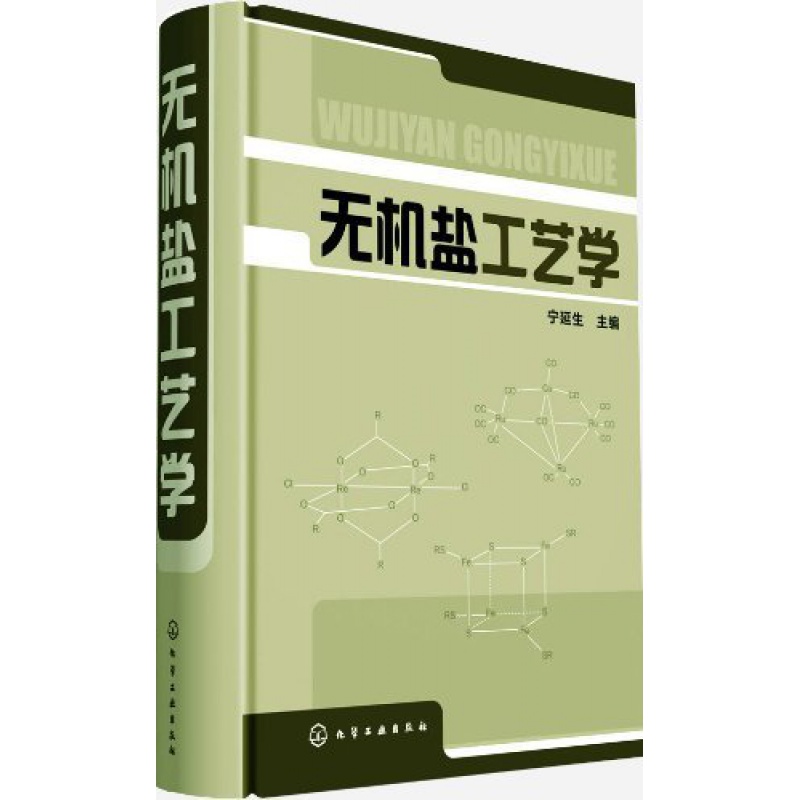 官方正版 无机盐工艺学 宁延生 化学化工工具书 无机盐公益无机盐工艺学 无机化学工艺参考书籍