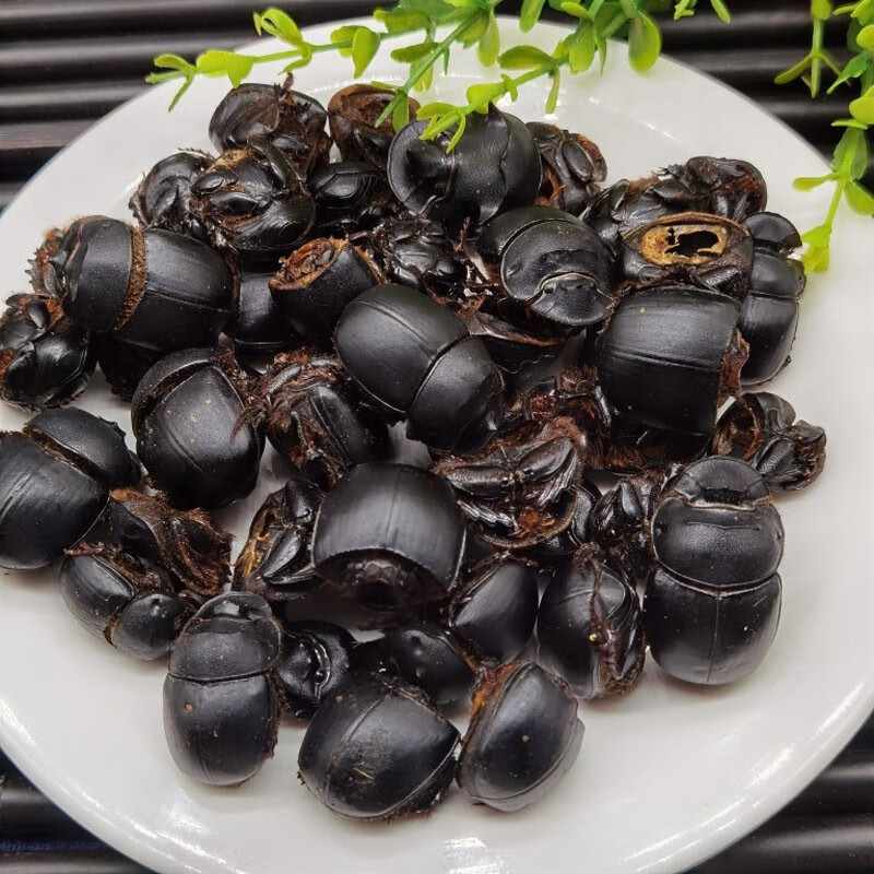 星禾堂中药材蜣螂 大将军 屎壳郎 蜣螂虫 推粪虫 50克