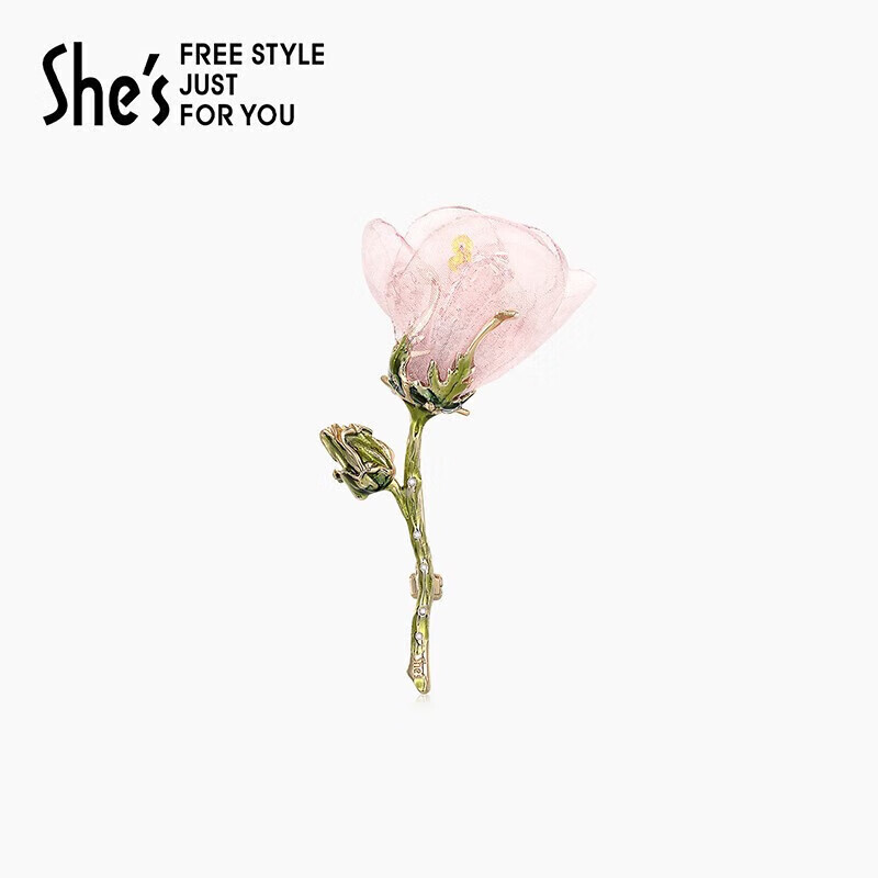 胸针历史价格最低点|胸针价格历史