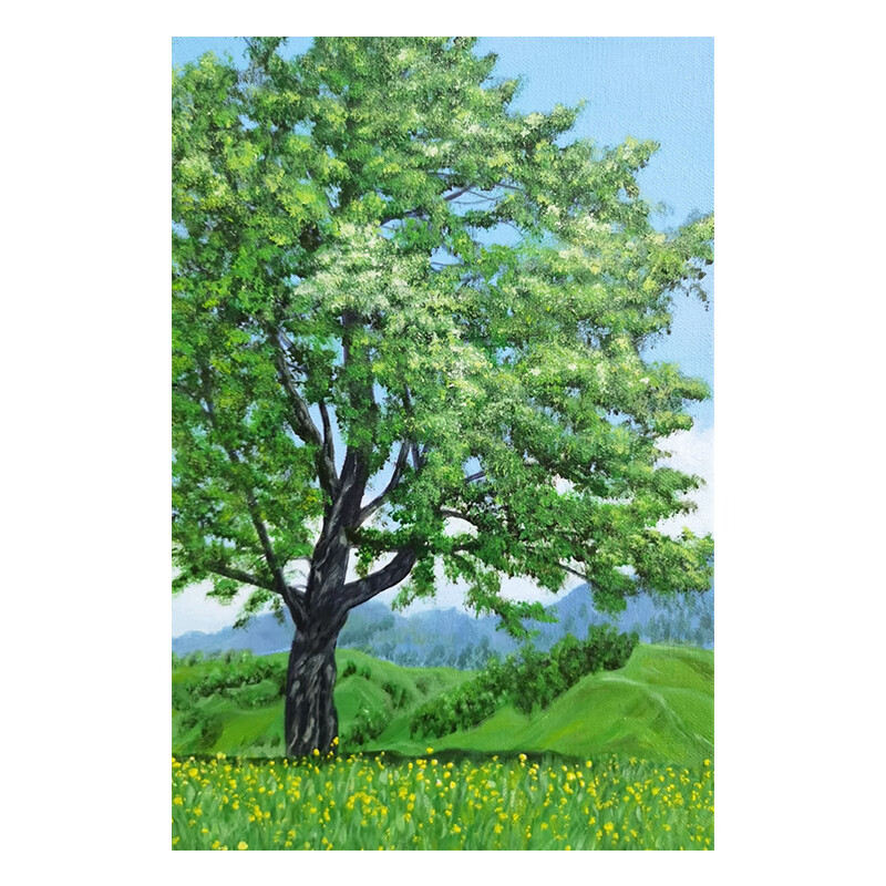 发财树 来图画联系客服 50*70无边框