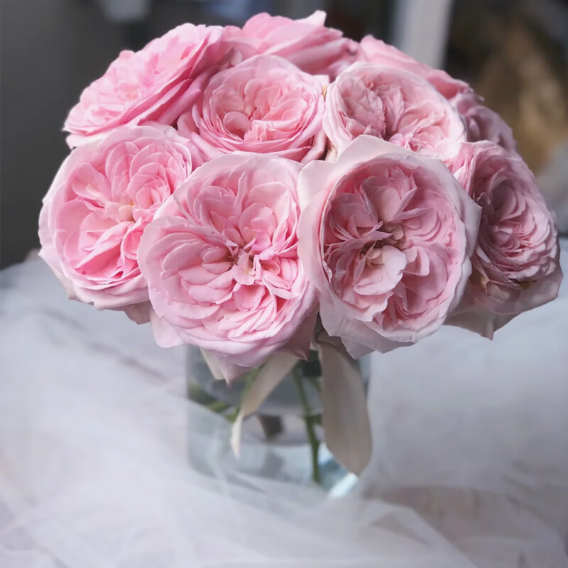 粉色荔枝玫瑰20支 保鲜剂