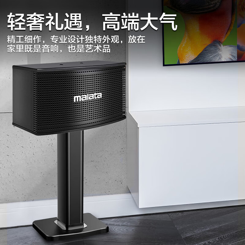 万利达（Malata）家庭ktv音响套装客厅家庭影院音箱专业家用K歌唱歌设备全套卡拉ok点歌机一体机 8寸音响套装+2T点歌机