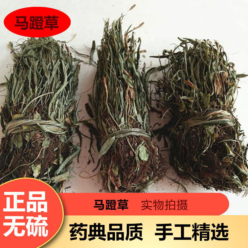 马蹬草 中药材 过桥草 还阳草 小石韦 马灯草 马蹄草 250克