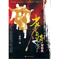 少林寺传奇网络版【正版图书】