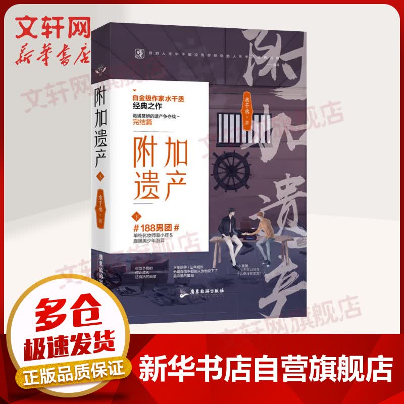 附加遗产下册完结篇 水千丞著