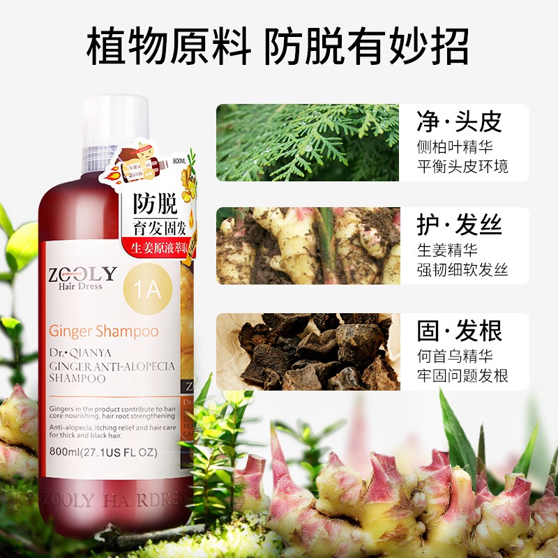 卓蓝雅(ZOOLY)生姜防脱发育发洗发水控油无硅油洗发露男女士通用洗头膏 强根健发生姜洗发水800ml