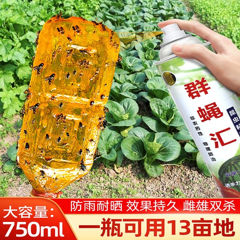 日锵瓜果实蝇诱粘剂果蝇专用药针蜂贴引诱剂粘虫黄板粘板 750ml一瓶
