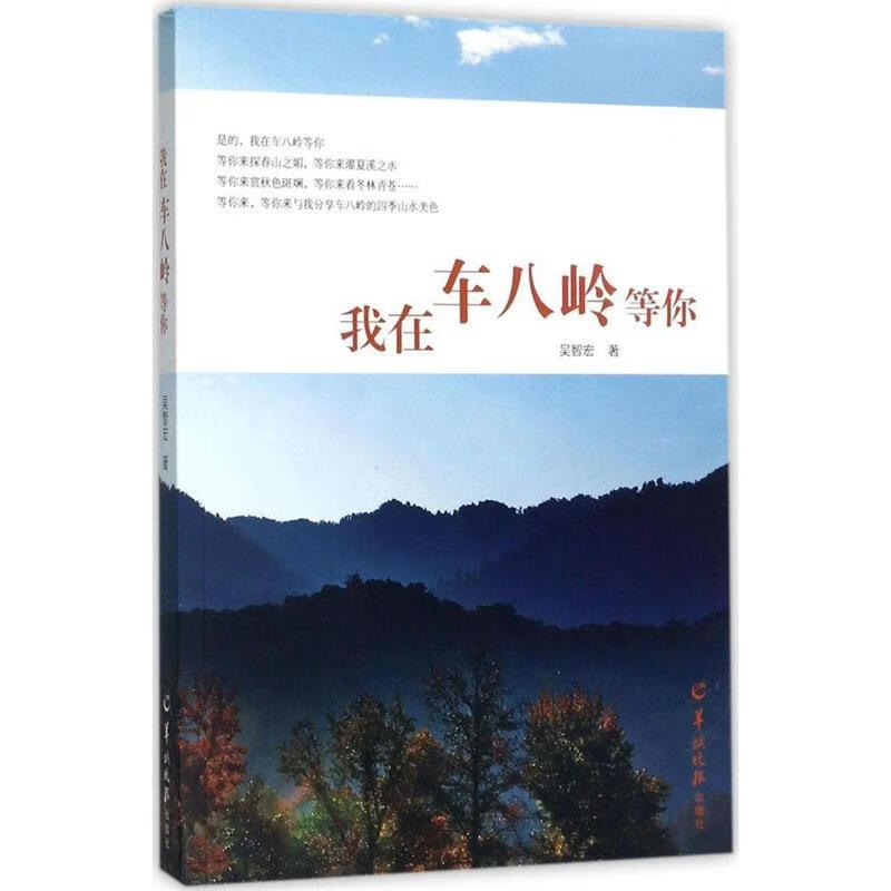 我在车八岭等你 吴智宏 羊城晚报出版社