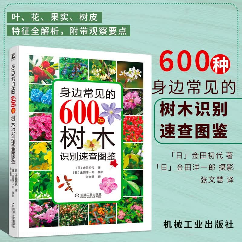 身边常见的600种树木识别速查图鉴 常见树木瓶中种类大全特征生长环境树木百科全书名称种类分类科目鉴别