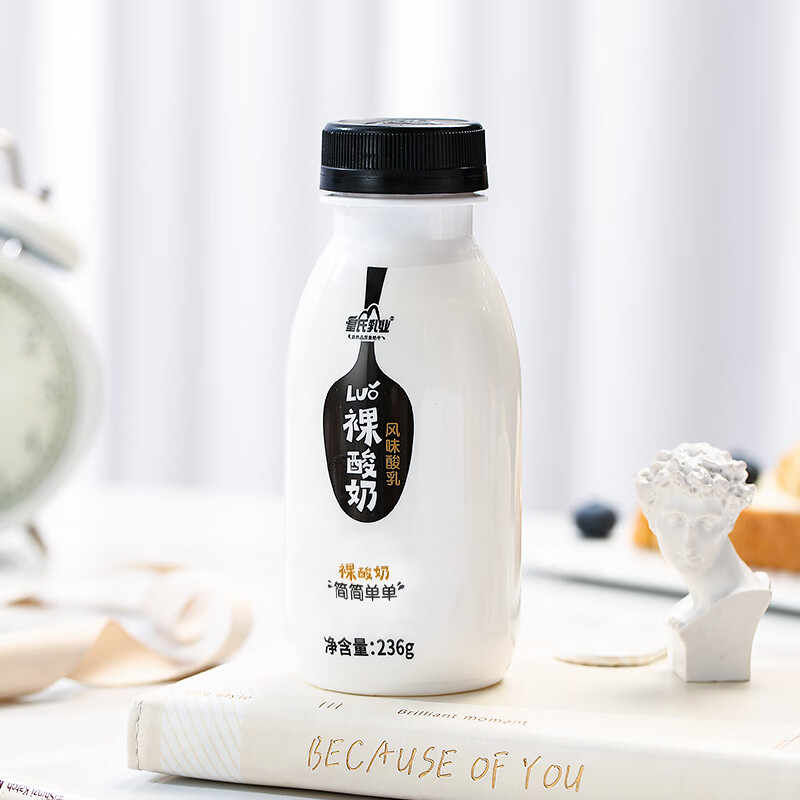 皇氏乳业原味酸奶低温裸酸奶236g*12瓶风味酸乳浓缩发酵乳早餐奶 236g