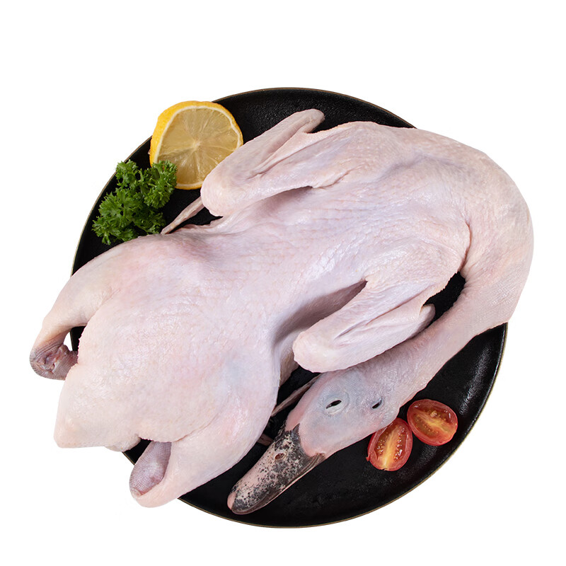 溫氏農養麻鴨1.2kg 農家生態(tài)散養鴨子整鴨凈膛生鮮鴨肉煲鴨湯 農養麻鴨1.2kg