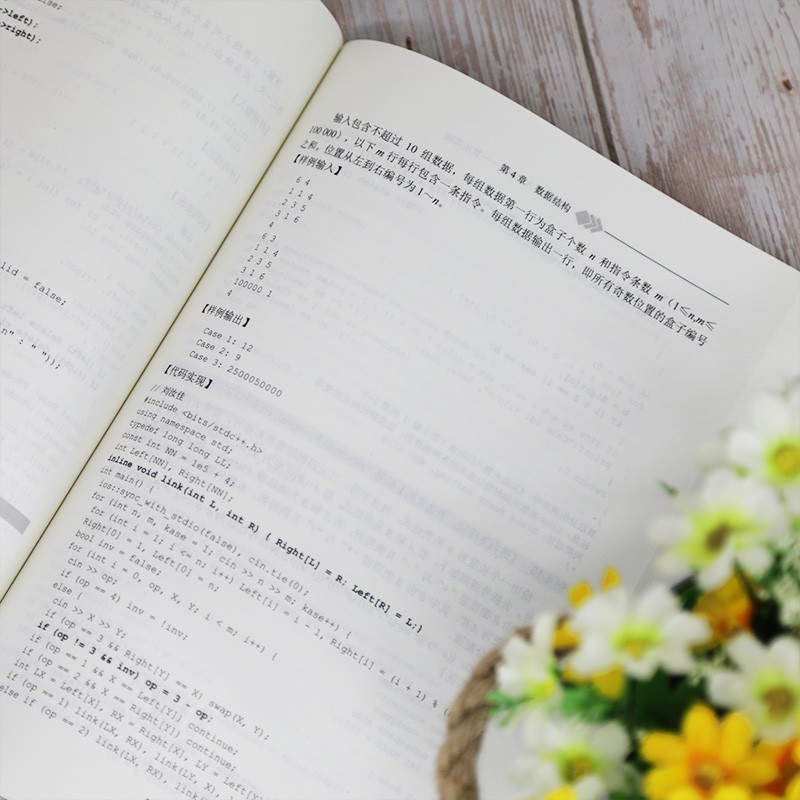 算法竞赛入门经典——算法实现（算法艺术与信息学竞赛）详情图