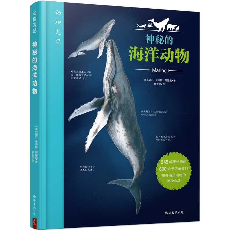 动物笔记：神秘的海洋动物详情图