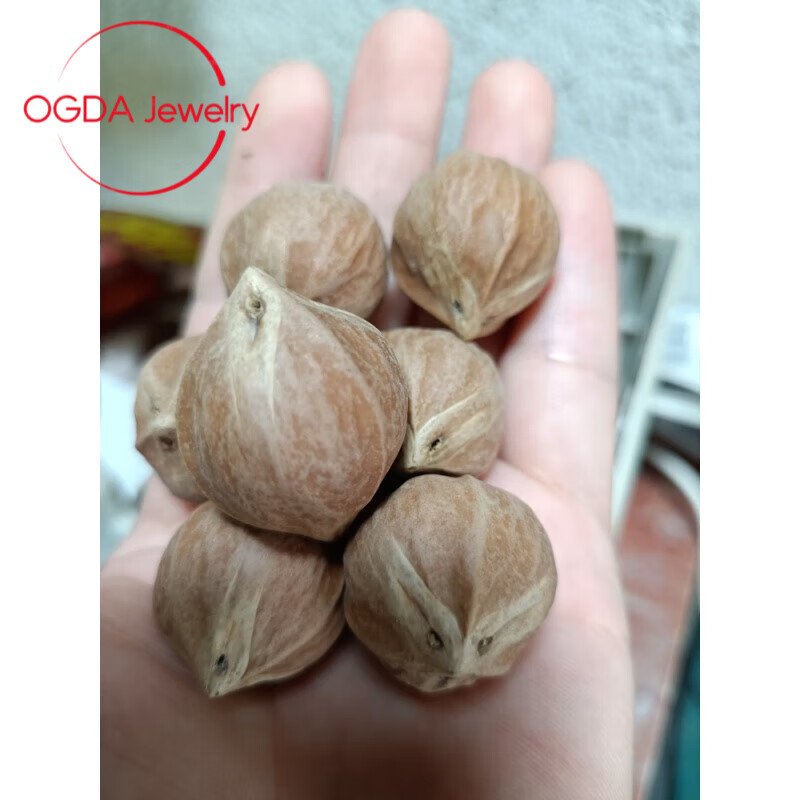 ogda橄榄核原料特大超大梅林铁核原籽手串红润佛珠念珠原籽素核 22
