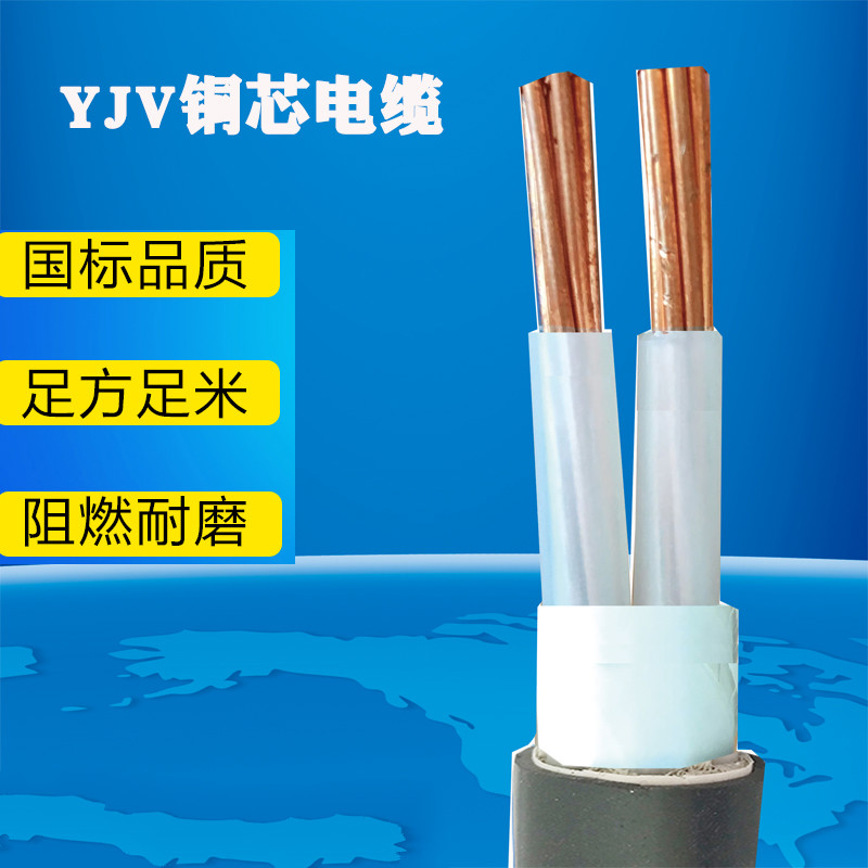 惠利得10平方2芯铜电线国标电电缆线2*10平方铜芯电缆线 国标户外工程