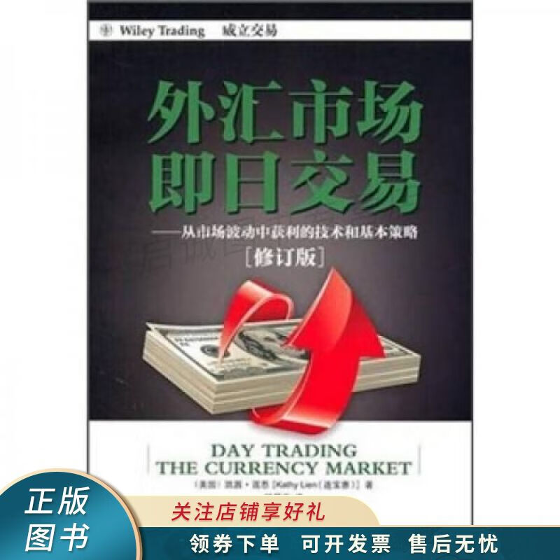 外汇市场即日交易：从市场波动中获利的技术和基本策略修订版