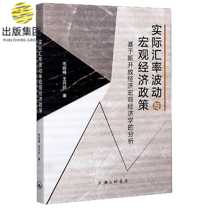 实际汇率波动与宏观经济政策(基于新开放经济宏观经济学的分析)