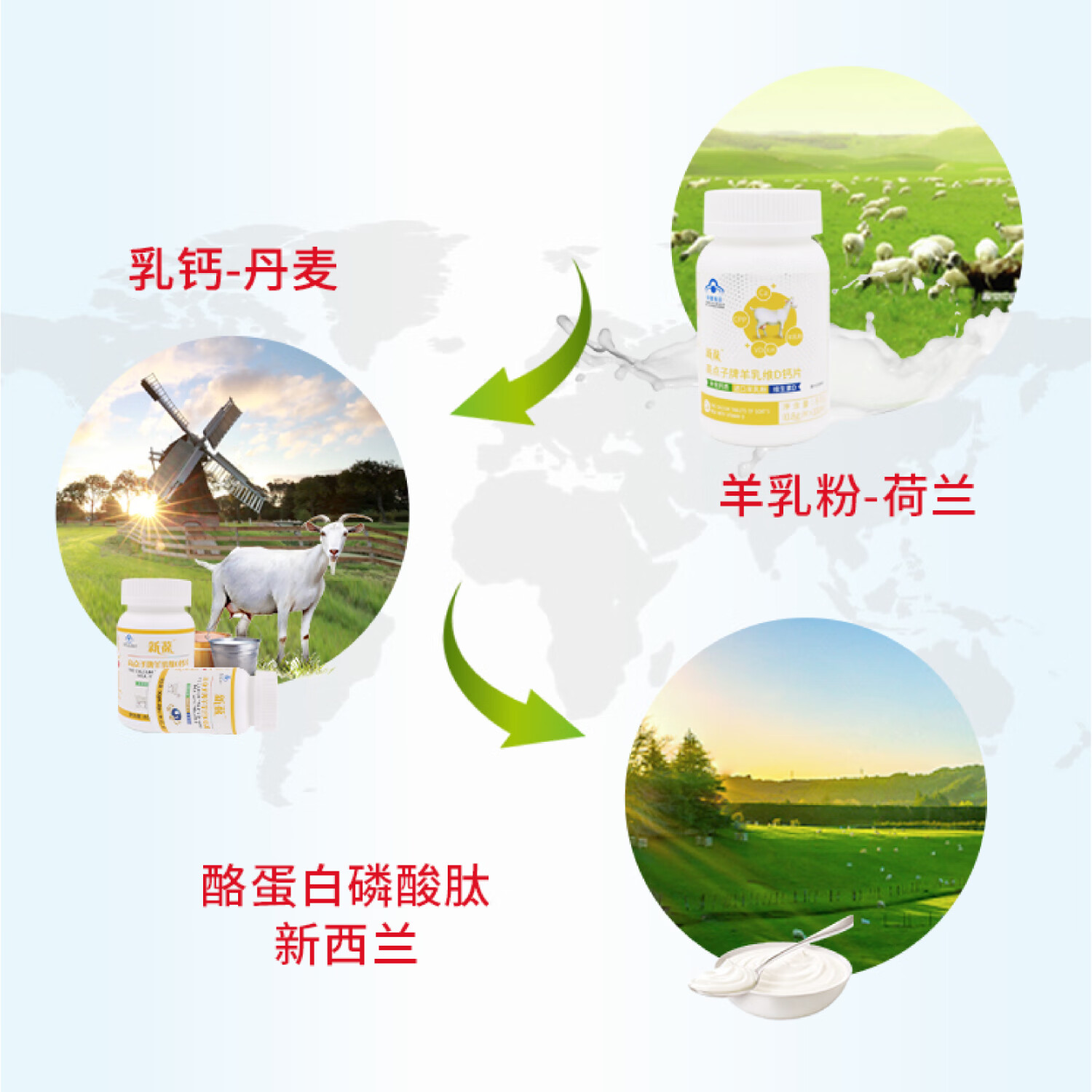 新葆高点子牌羊乳维D钙片单瓶金装 正品100片/盒维生素d乳钙 0.8g*100片/盒