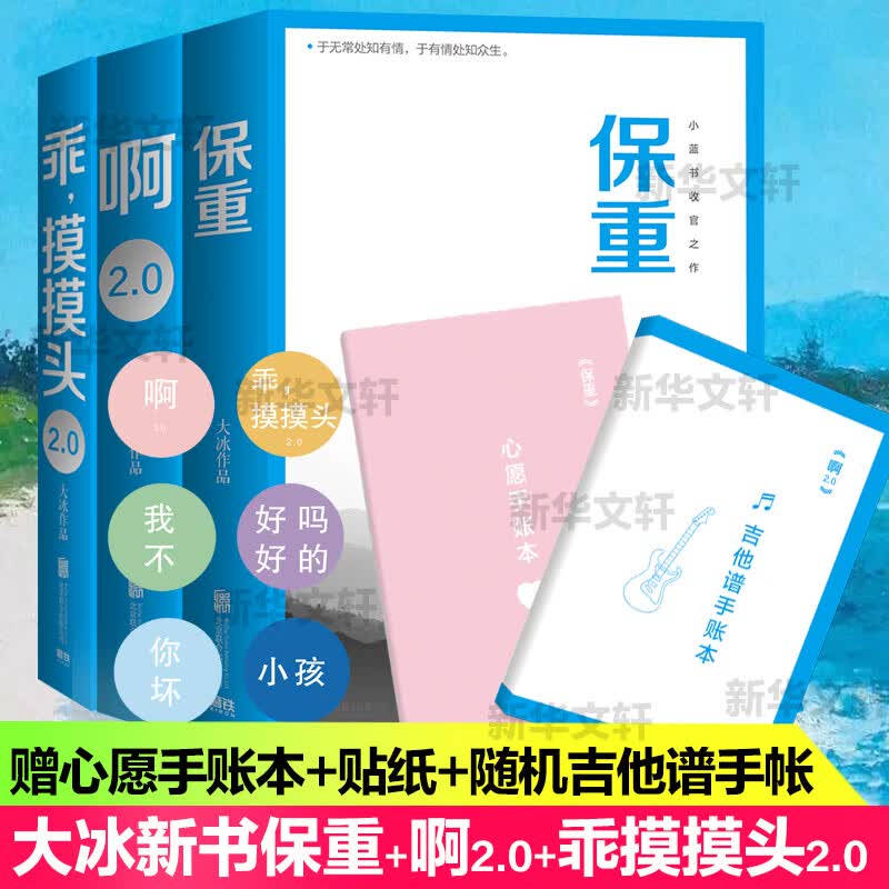 【赠心愿手账本+贴纸】保重+乖摸摸头2.0+啊2.0 大冰的书正版全套3册 小蓝书系列