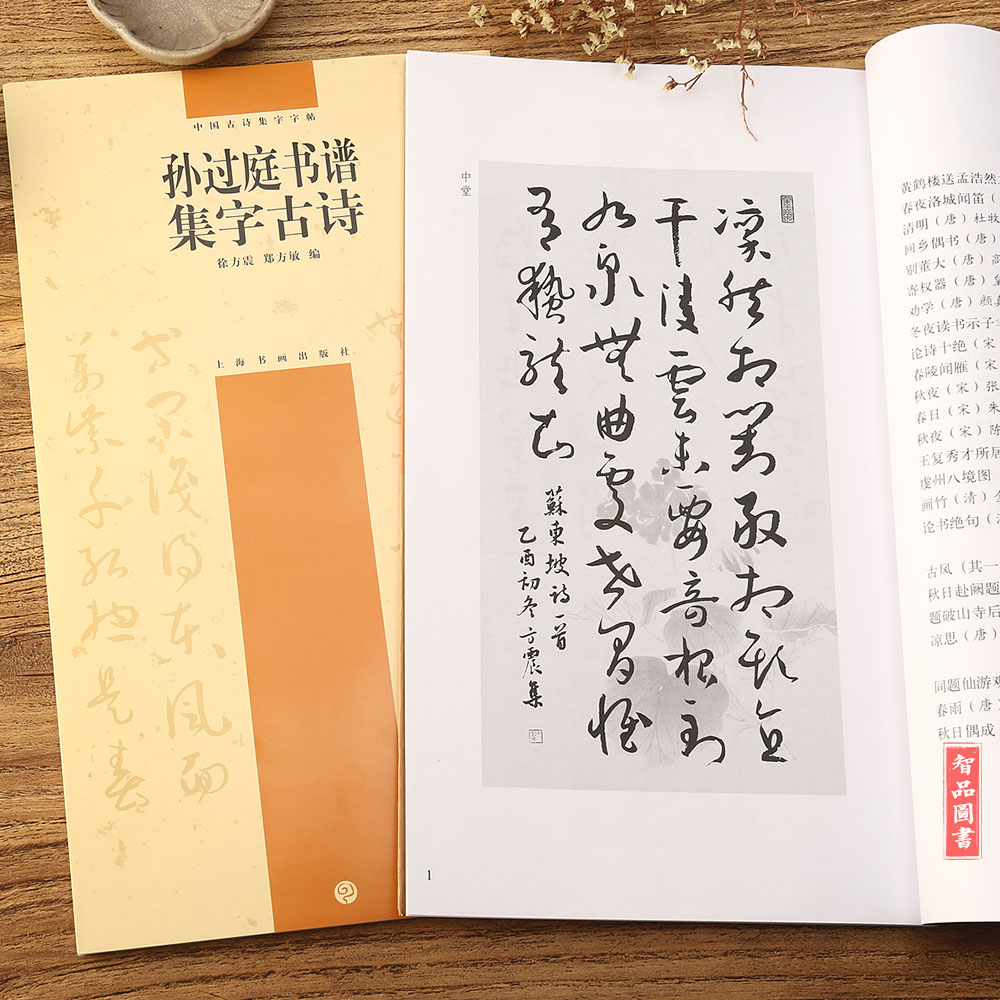 孙过庭书谱集字古诗 中国古诗集字字帖 徐方震郑芳敏编 软笔毛笔书法