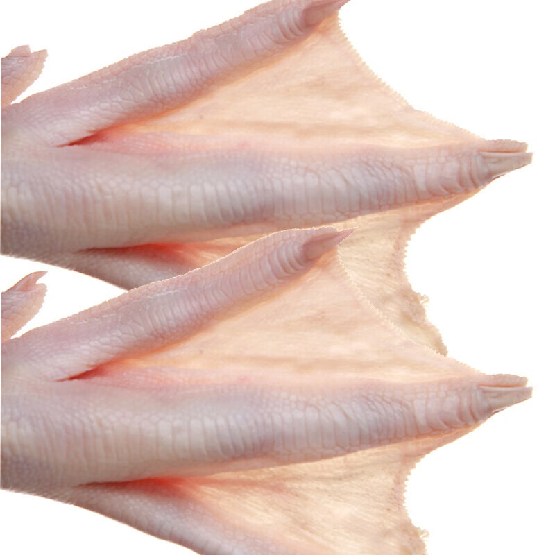 伯贤新鲜鹅掌 鹅爪 鹅爪子生肉鲜鹅爪掌老仔鹅掌鹅脚 2斤