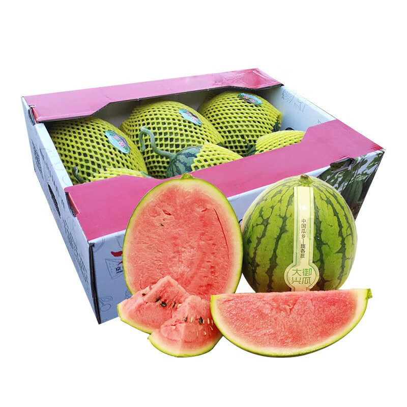 闪狼庞各庄吊秧西瓜新鲜6粒18斤左右 水果现摘现发 红玉小西瓜 l600