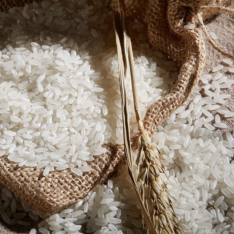 稻可道 五常大米5kg  东北大米10斤