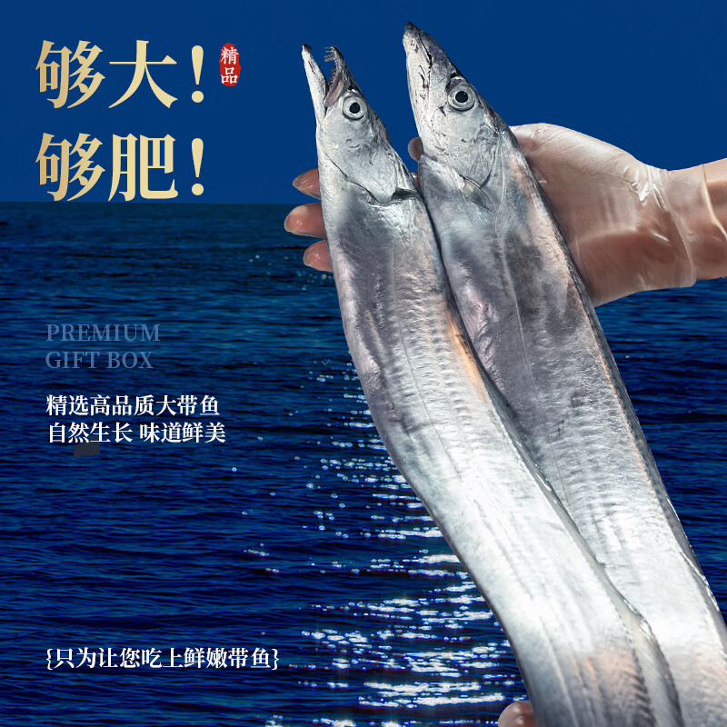 鲜喜利舟山带鱼整条新鲜鲜活冷冻小眼海钓油带鱼生鲜海鲜礼盒特大刀鱼 6-8两/条【净重3斤 舟山直发 】