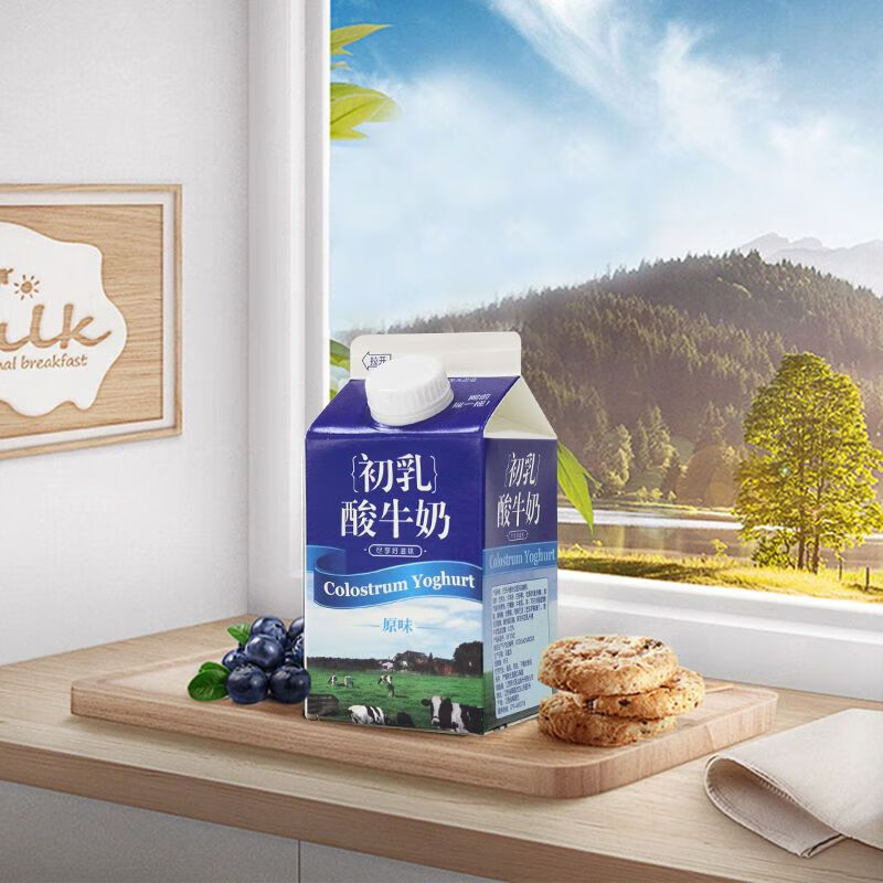 i天天阳光初乳酸牛奶常温风味酸奶整箱营养学生早餐 460g*6盒